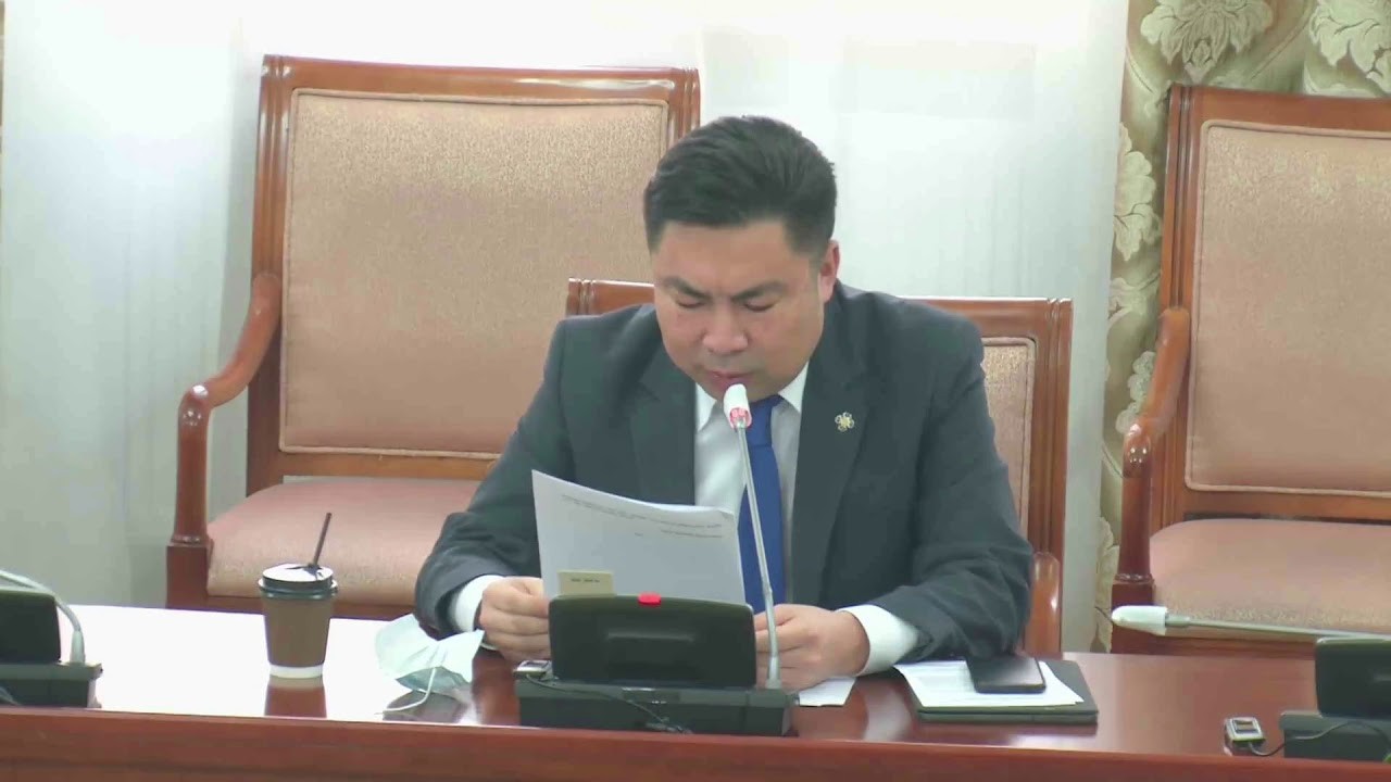 Н.Наранбаатар: Монгол Улсын олон хуулийг санаатай, санамсаргүй байдлаар зөрчсөн