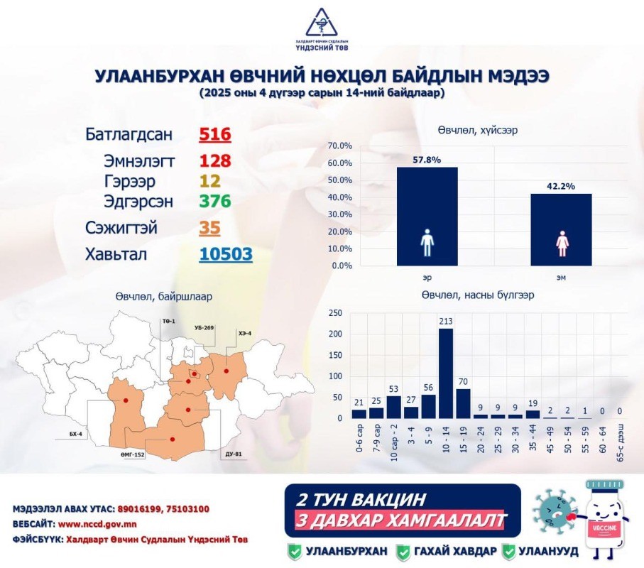 Улаанбурханы 516 тохиолдол батлагдлаа
