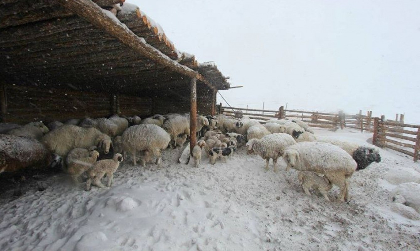 Завханы Баянтэс суманд 47 хэм хүйтэн хонолоо