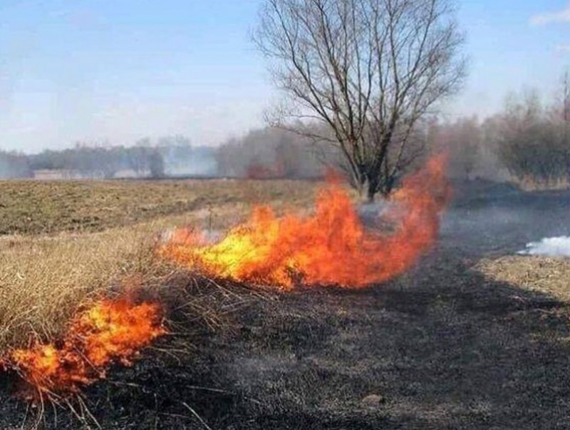 Он гарсаар найман аймгийн 17 суманд 23 удаагийн ой, хээрийн түймэр бүртгэгдээд байна